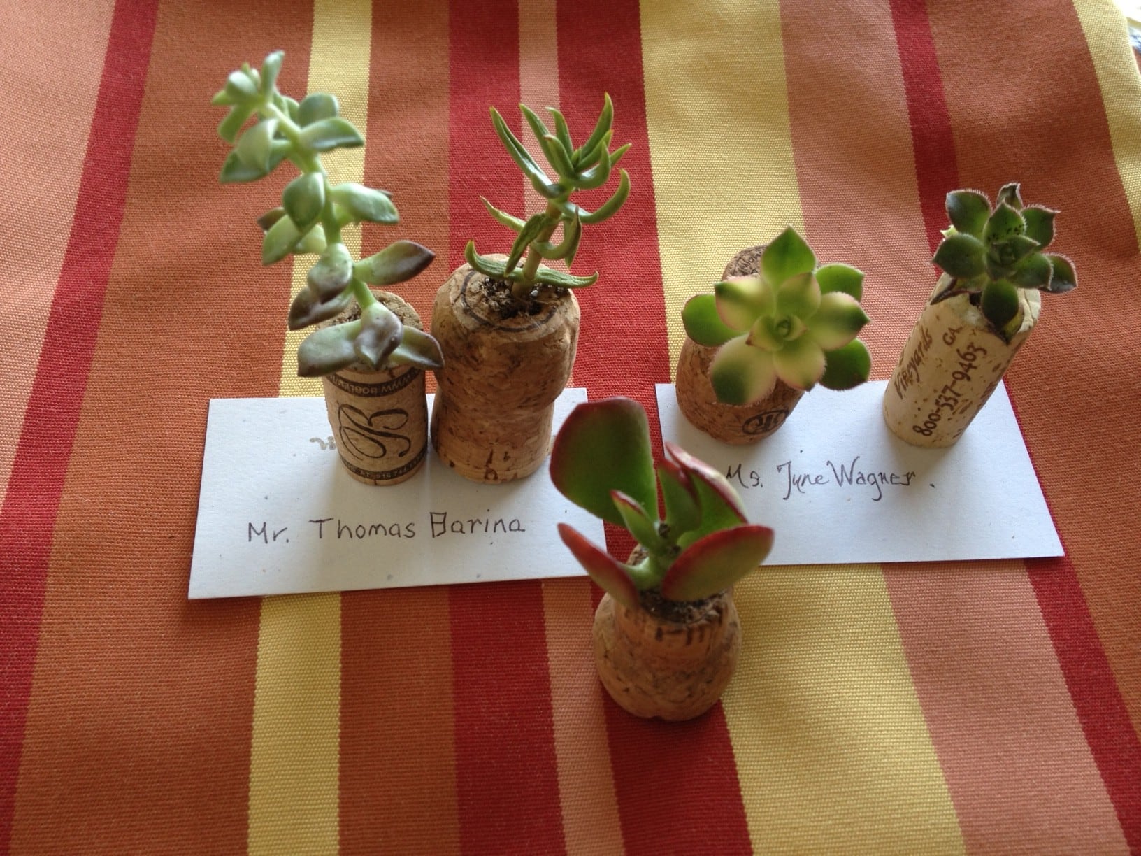 wine and champagne cork succulent favors for wedding tables