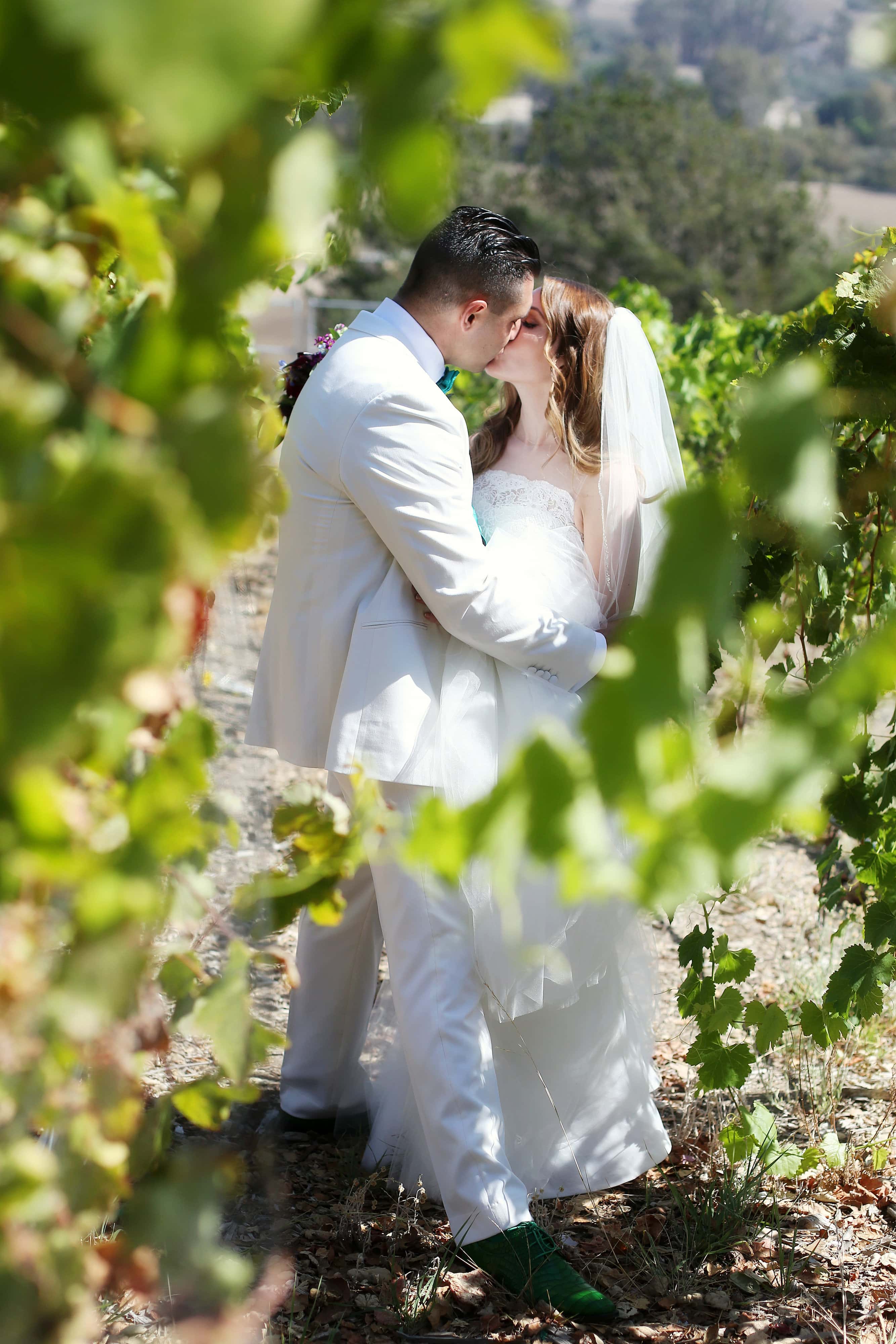The Casitas Estate Syrah vineyard, San Luis Obispo