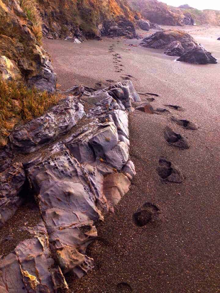 Moonstone Beach near Cambria, Calif. is a hidden gem along California's Central Coast.